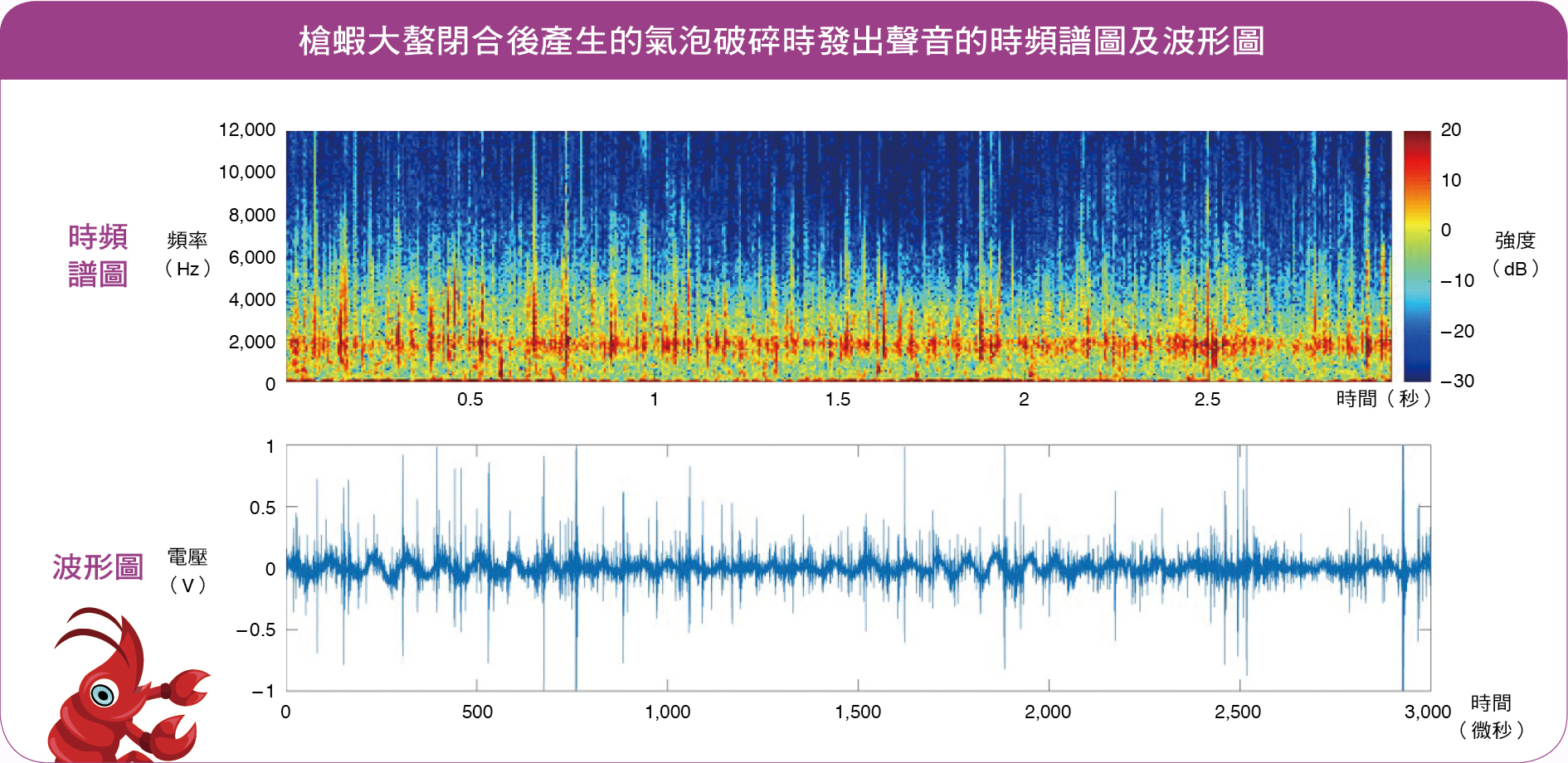 槍蝦大螯閉合後產生的氣泡破碎時發出聲音的時頻譜圖及波形圖