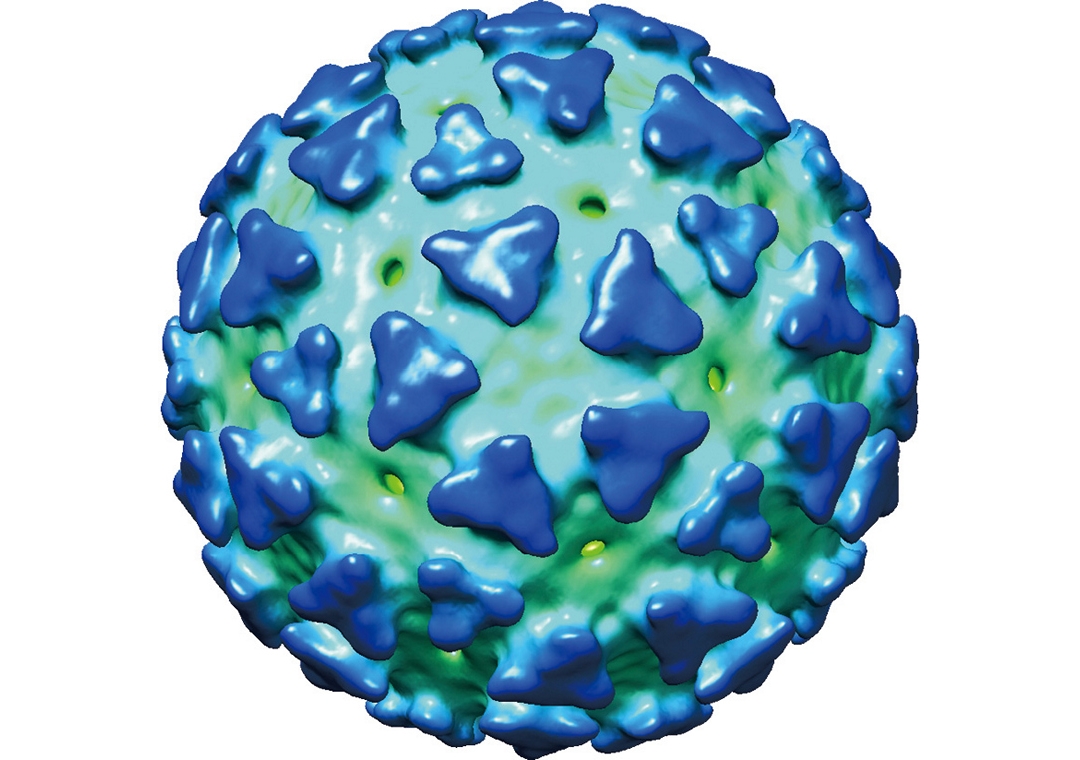 冷凍電子顯微鏡及立體結構重組技術解析屈公熱病毒結構。屈公病毒為二十面體構造，大小約為70奈米。