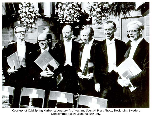 威爾金斯（左1）、克里克（左3）和華生（右2）在1962受獎時與其他諾貝爾獎得主合影。 （圖／Cold Spring Harbor Laboratory）
