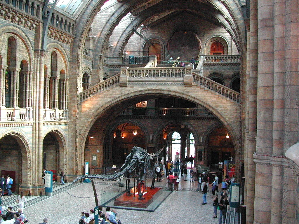 倫敦自然史博物館，博物學家的聖殿 (童琳茜 攝)
