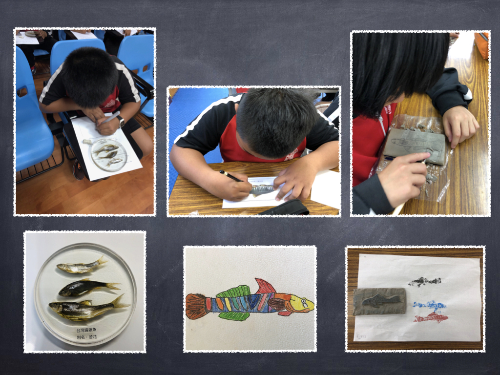 淡水魚科學繪圖與雕塑課程 (童琳茜 攝)