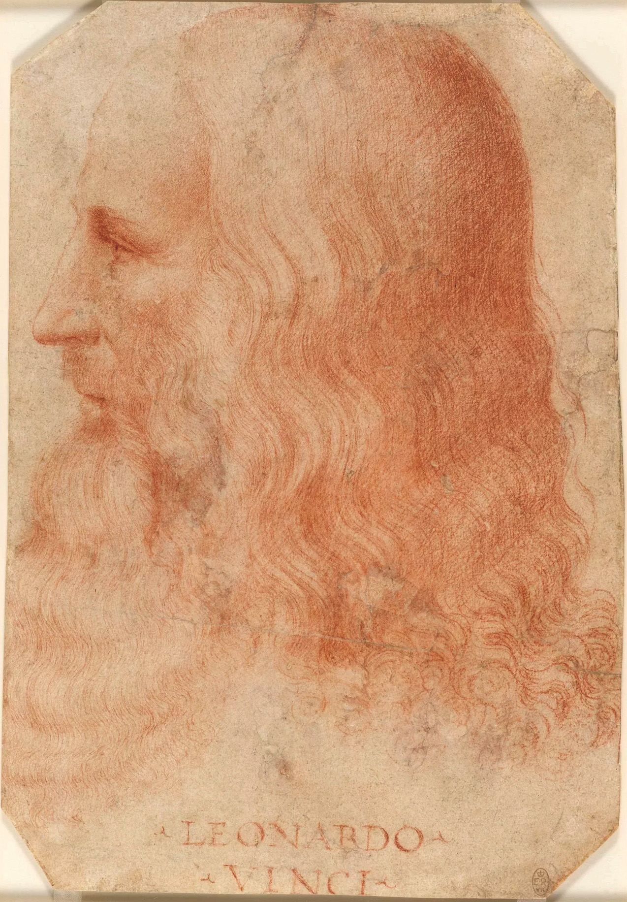 達文西，作者是他的學徒 Francesco Melzi（1491–1570）。