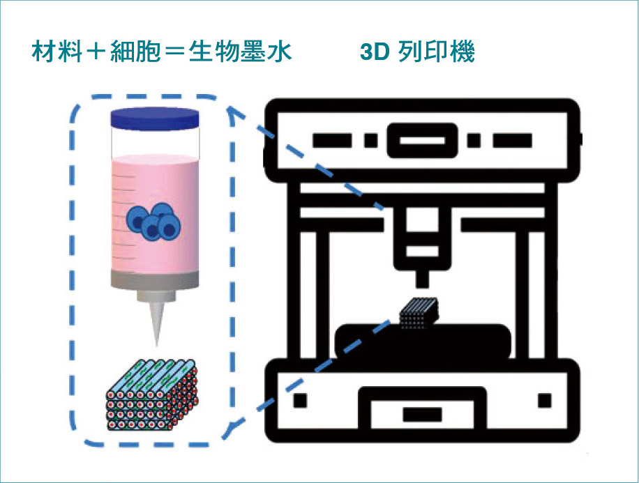 透過3D列印機把生物墨水列印成為客製化的組織或器官，稱為生物3D列印。