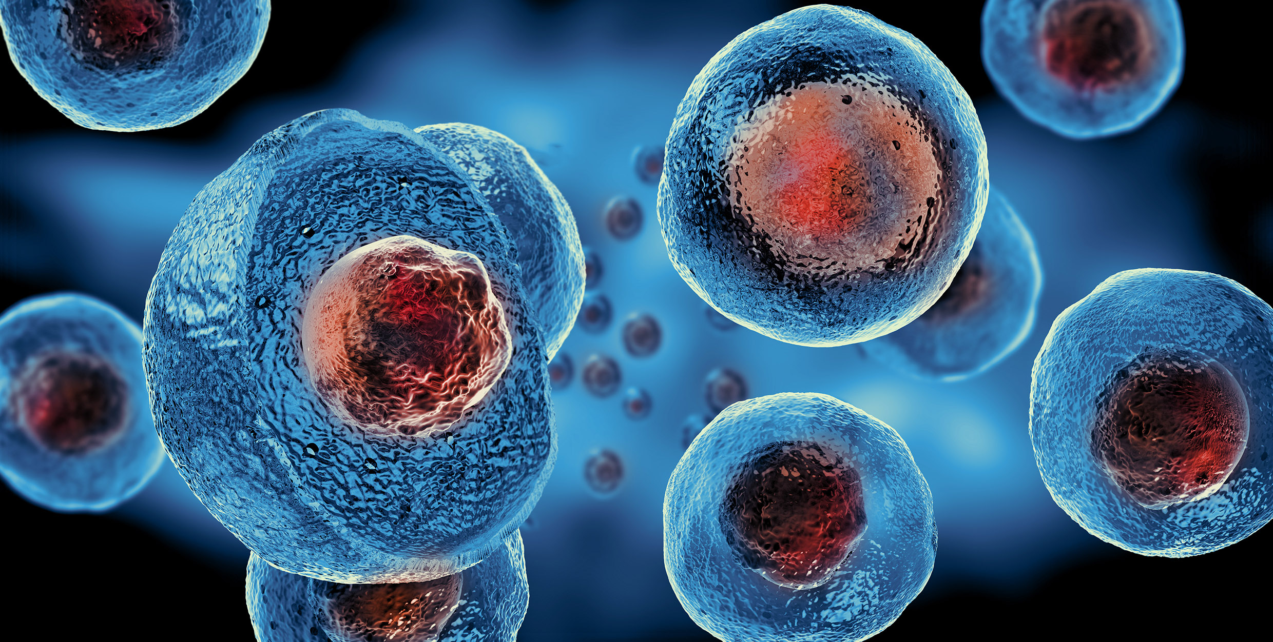 幹細胞具有可以分化的特性，並有自我更新的能力，細胞分裂後仍可以產生一個與自身特性相同的幹細胞。