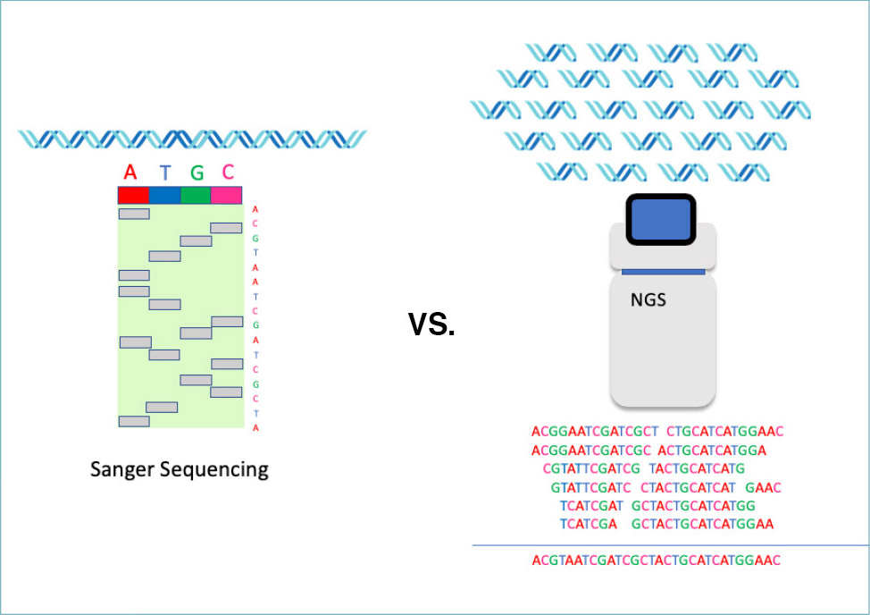 在單次實驗中，第二代定序技術可以平行地定出大量DNA片段的序列。