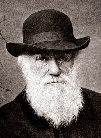 達爾文發表了《物種源始》，一本至今仍被全球學術界列為最有影響力的書籍。（圖／wikipedia）