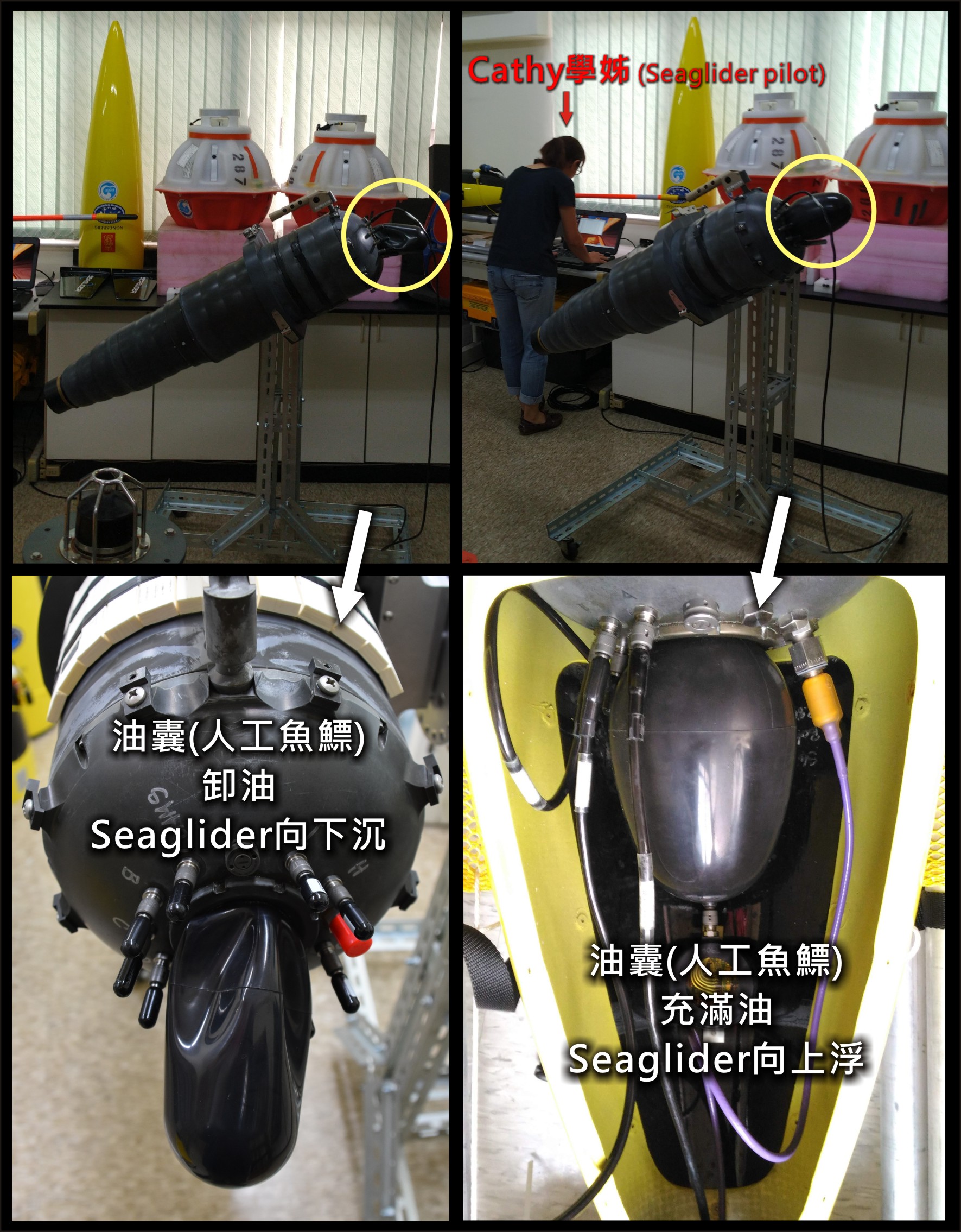Seaglider調控浮力的機制，是藉由油囊來調整機體的體積。（圖／臺大海洋所提供）