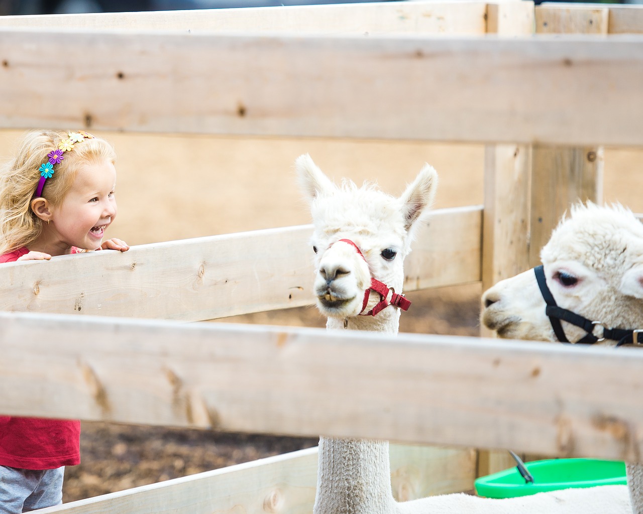 對於孩子們而言，動物園、生態公園是接受環境教育的良好場域。（圖／Pixabay）