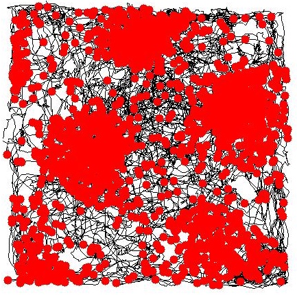 圖三：網格細胞，有如蜂窩般的六角形網格。（圖／Khardcastle，https://upload.wikimedia.org/wikipedia/commons/4/4c/Grid_cell_image_V2.jpg）