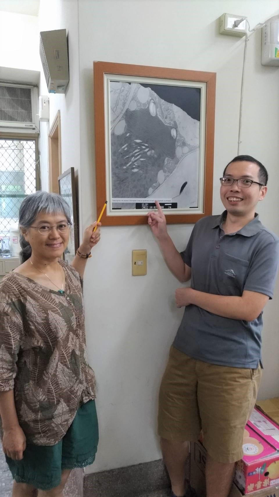 許秋容教授（左）和參與研究的劉鑑緯博士生（右）。牆壁上掛的相片是二區葉綠體的電子顯微圖。（圖／劉馨香攝）