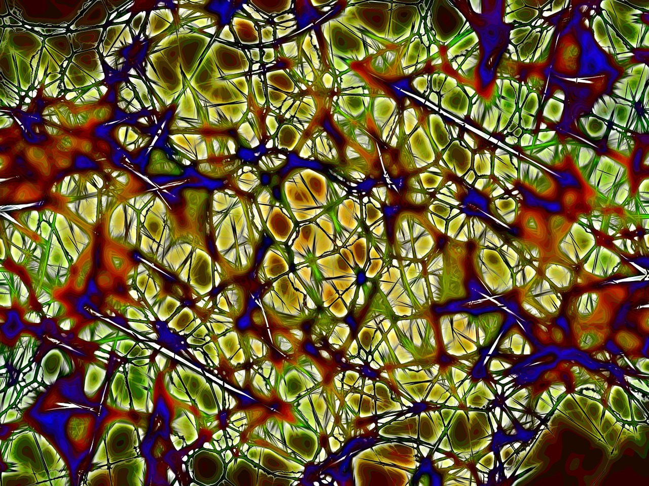 如何透過神經細胞彼此的連結產生進一步的功能，是21世紀科學界想破解的謎團。（圖／Pixabay）