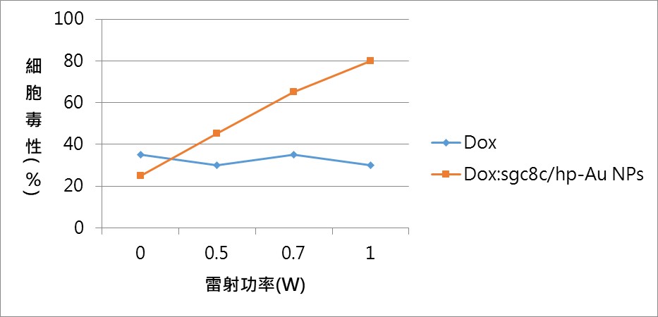 上圖所呈現的是在不同雷射功率之下藥物能釋放出多少殺死癌細胞的毒性，如果只有Dox，本身釋放的毒性不會隨著功率增加而有顯著的提升(如藍線所示)，但如果是以飛碟的形式將Dox裝載於Sgc8c/hp-Au NPs則與功率成正比(如橘線所示)，隨著功率提升，會釋放越多的毒性殺死癌細胞。（圖∕黃郁棻教授團隊提供實驗數據，林泱蔚教授團隊重繪）