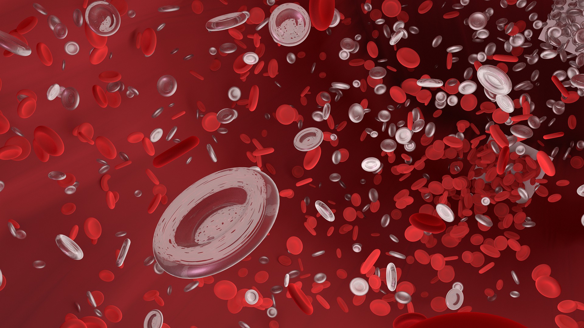 造血幹細胞專責分化產生不同的血球細胞。（圖／pixabay）