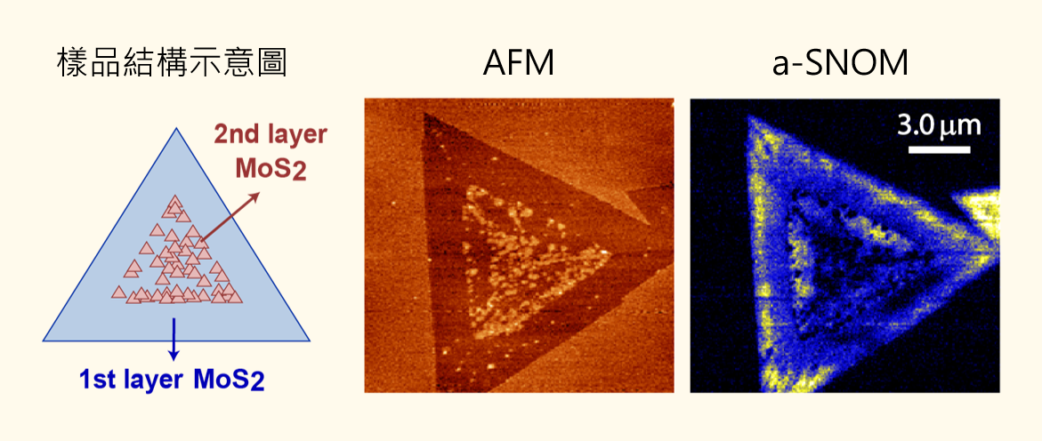 不同的顯微影像比較。樣品為一種二維材料異質結構，左為結構示意圖，中為AFM影像，右為a-SNOM影像。AFM能精確解析樣品的高低起伏，然而 a-SNOM 可解析樣品的光學特性。（圖／陳祺提供）