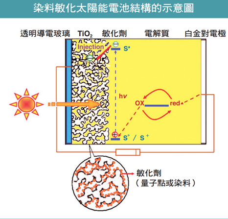 染料敏化太陽能電池結構示意圖