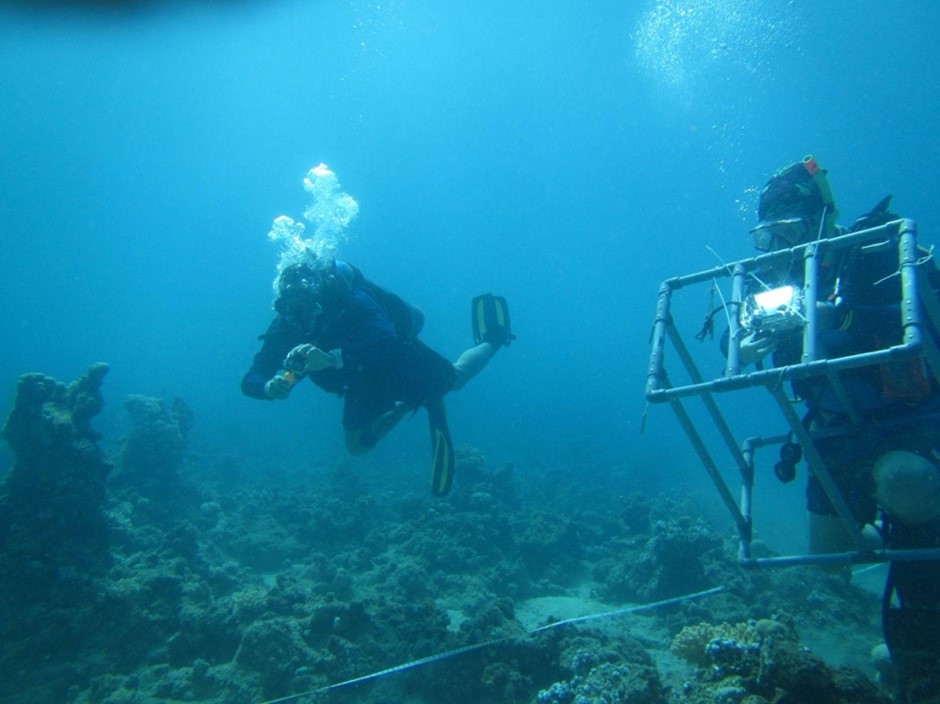 水下調查團隊。圖面來源：林裕䕒助理教授拍攝