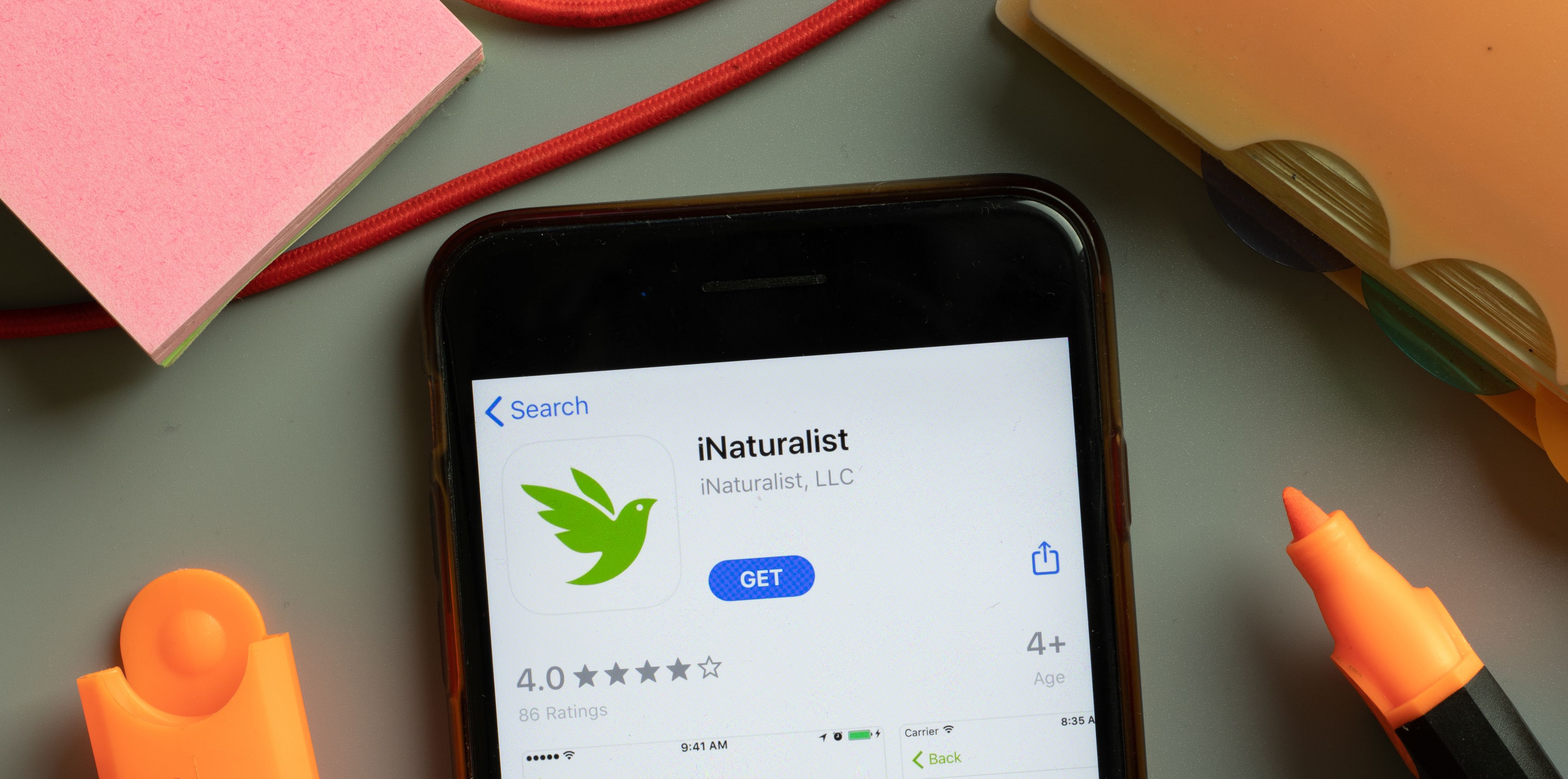 iNaturalist（愛自然）集結公民的力量，記錄全球生物資訊