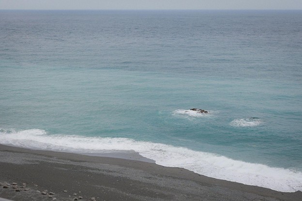 臺灣淺灘海域，海水混合流動，為浮游生物與中小型魚類提供充沛養分，也成為鯨豚與洄游魚群的重要覓食場，是連結生態與漁業的關鍵場域
