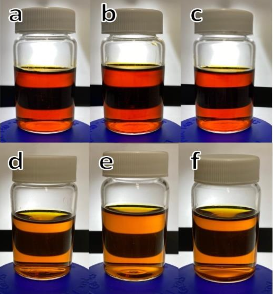 不同濃度 β-幾丁質溶液於室溫下貯存 24 小時前後之照片