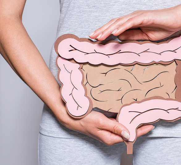 人體腸道