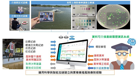 首要被科學化的,是最憑經驗的「看水色」。水色反映了藻相與水質健康,但過去全憑養殖戶的直覺經驗。(圖片來源:國立臺灣海洋大學水產養殖學系副校長冉繁華特聘教授團隊)