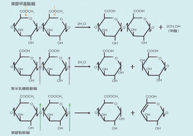 最新文章 科技大觀園