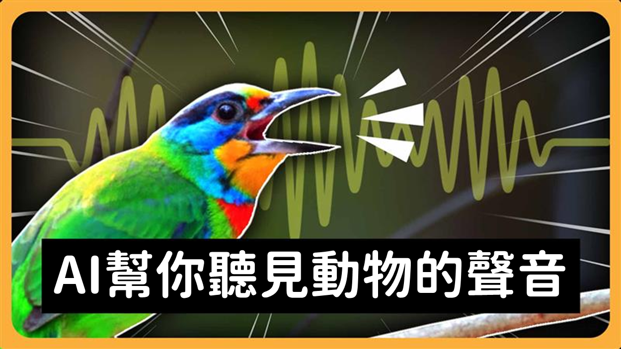 AI 辨識動物叫聲， SILIC 系統助力生態保護
