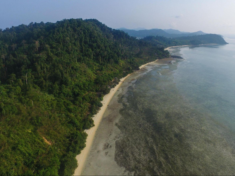 什麼是海洋藍碳？揭開 2050 淨零挑戰賽中超級新秀的面紗