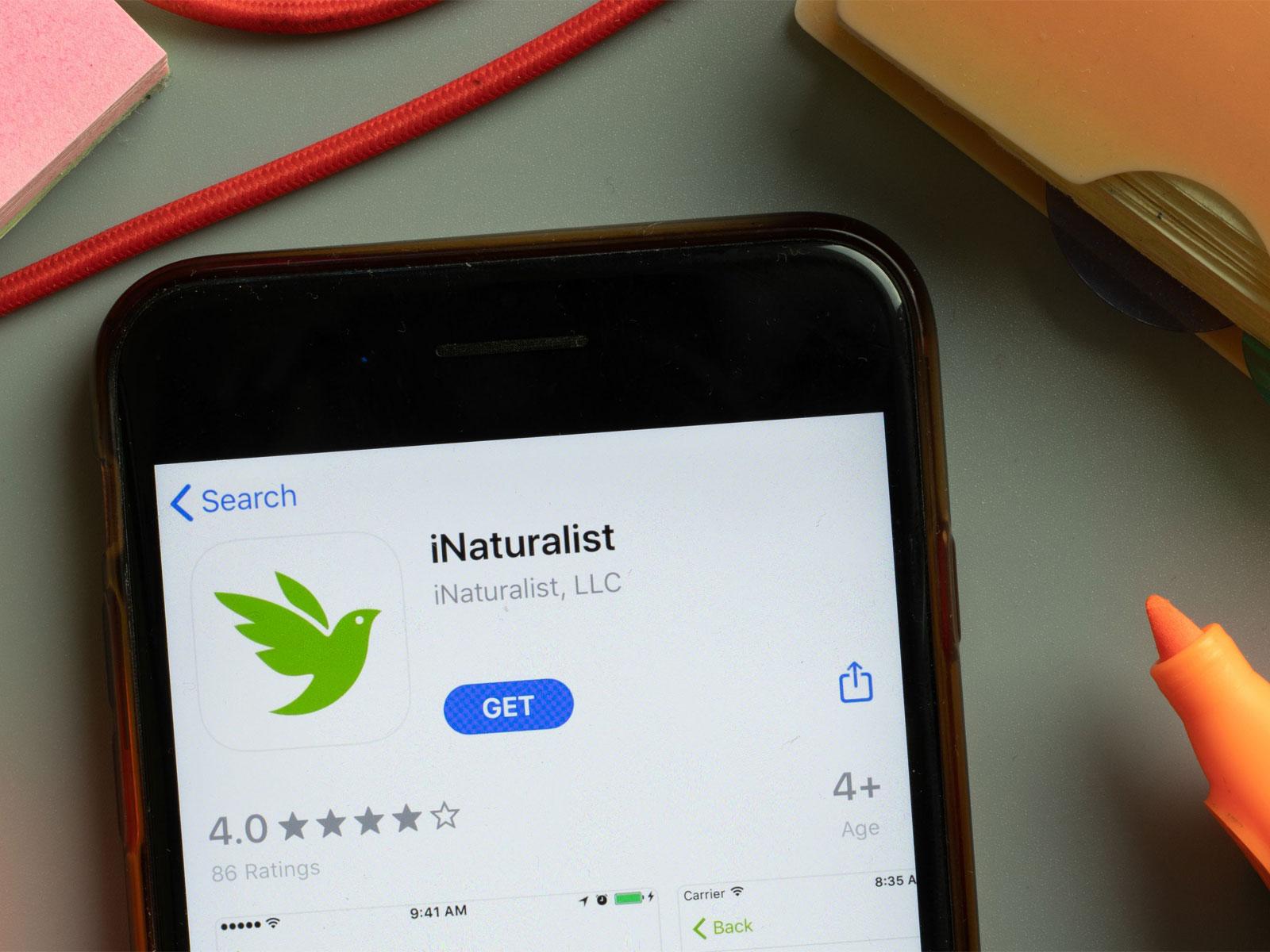 生態版的維基百科—— iNaturalist 愛自然