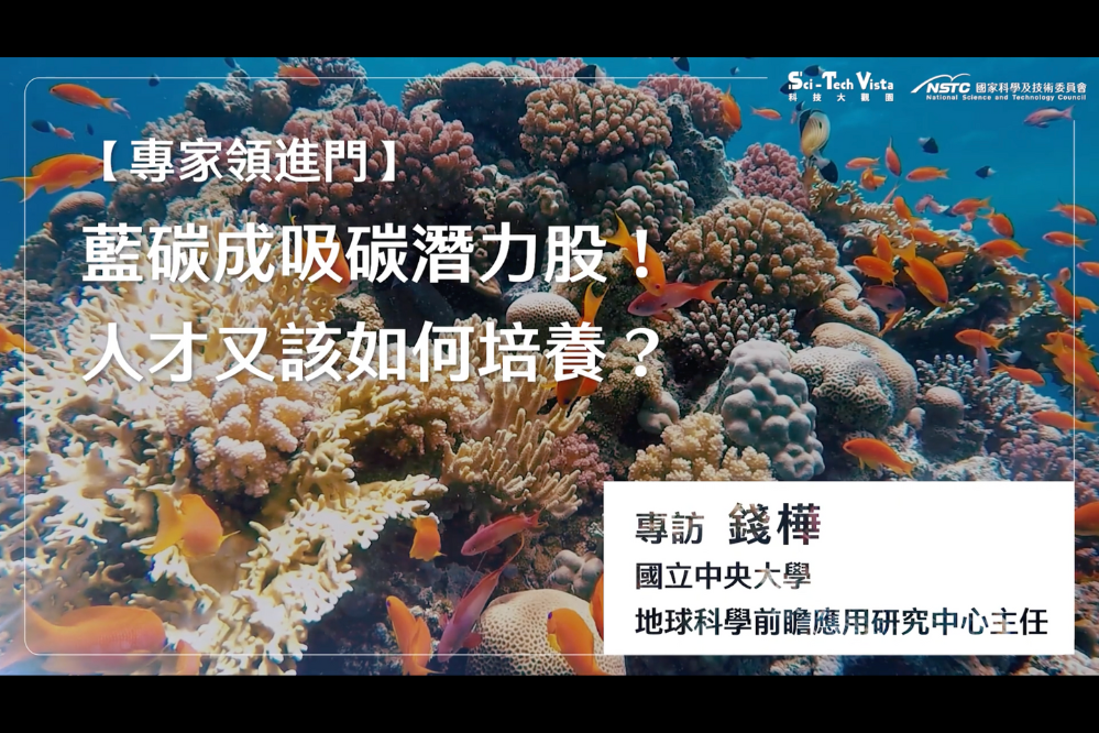 臺灣沿岸生態系具優越的藍碳發展潛力！