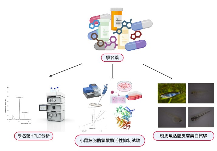 誰說止痛藥只能止痛？它可能是下一款美白成分主角！  
